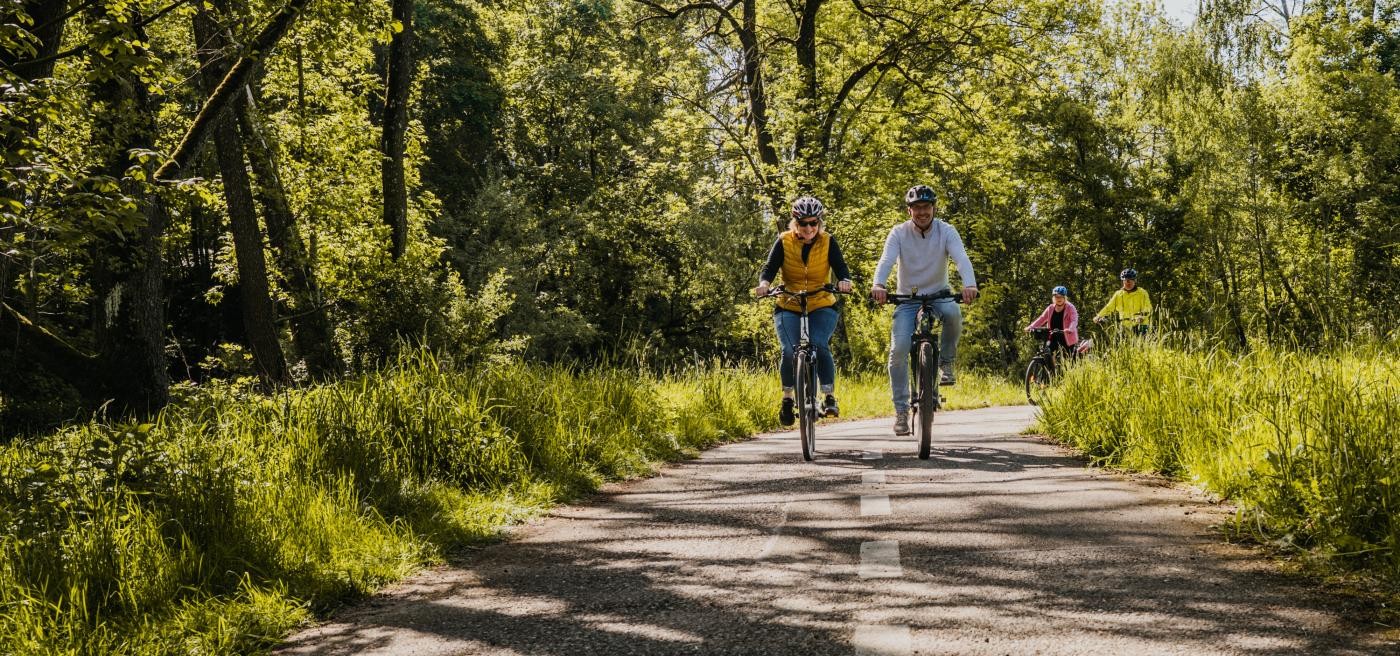 Vier Radfahrer radeln bei strahlendem Sonnenschein auf einem Radweg im Grünen