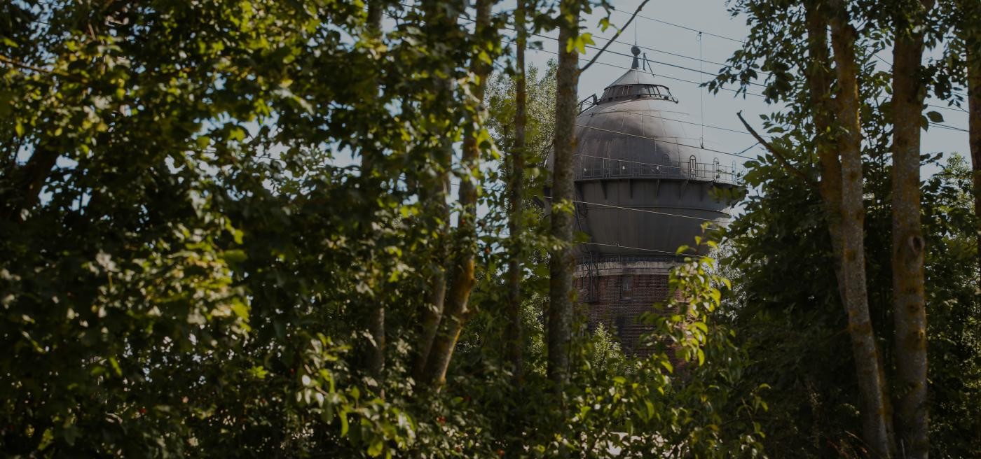 Blick durch die Bäume auf den Wasserturm