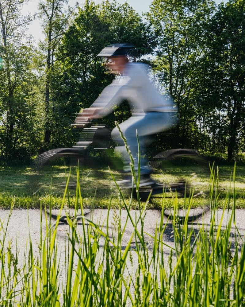 Mann radelt am Waldrand entlang