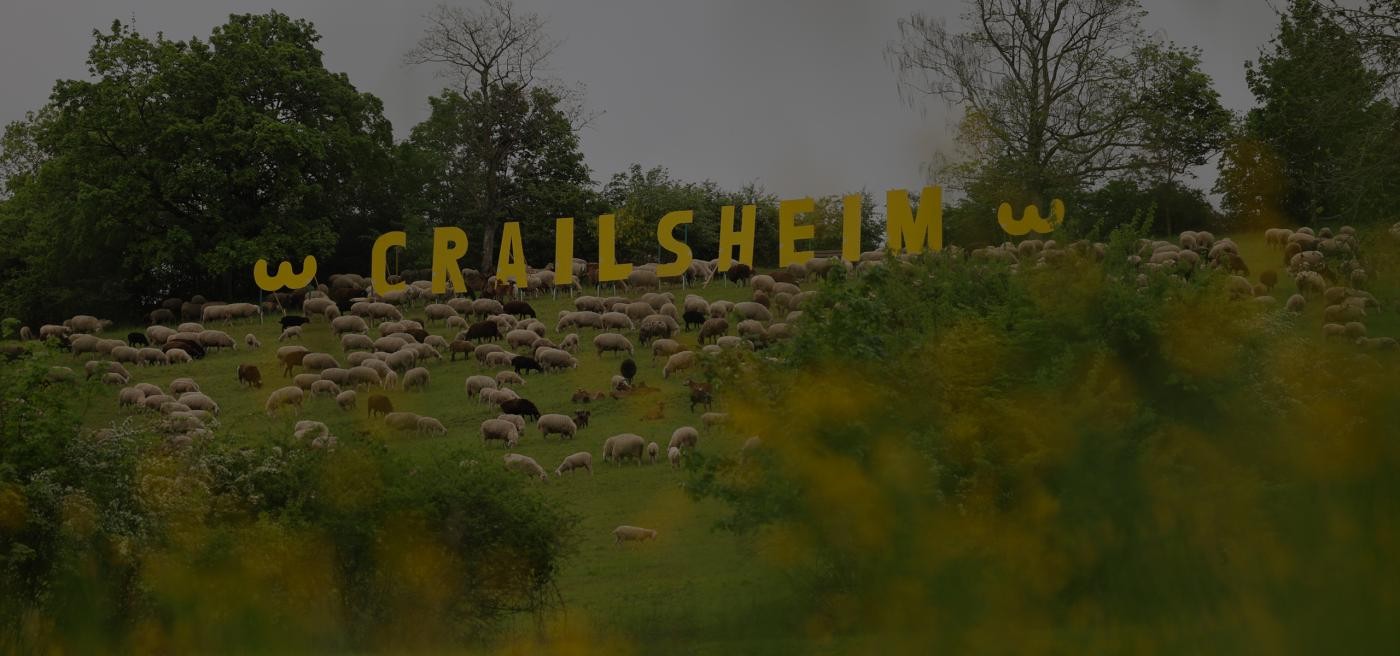 Blick durch die Bäume auf den Wasserturm